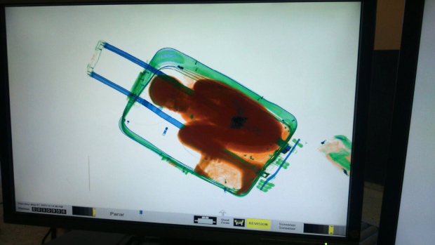 Boy in suitcase 