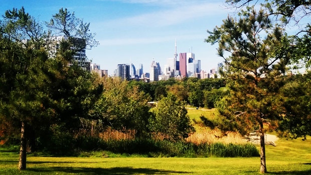 Toronto skyline, Riverdale Park