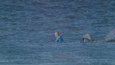 surfer escapes shark