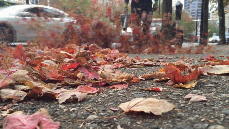 Leaf blower on Hornby Street, Vancouver 
