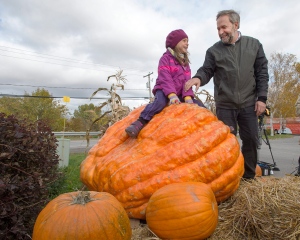 NDP Leader Tom Mulcair and his granddaughter, Juliette, play on a giant pumpkin while visiting a farm, Wednesday, October 14, 2015 in L'Assomption, Quebec Canada. (Ryan Remiorz/The Canadian Press via AP)