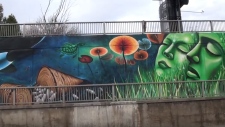 Lawrence underpass mural