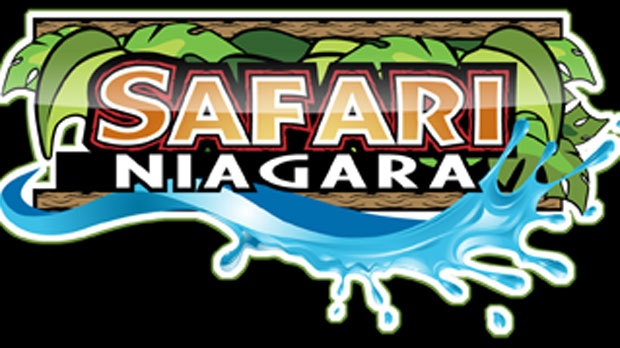 safari niagara