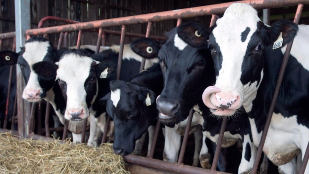 Tories call on government to compensate dairy farmers 'left behind' in ...