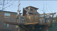 treehouse, boat 