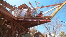 Boat treehouse