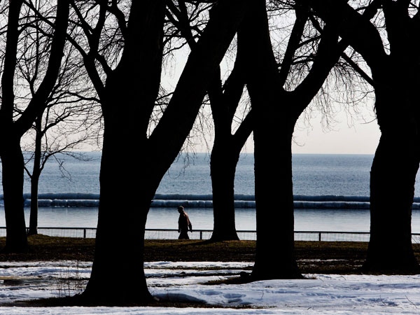 A man walks along a lakefront pathway among the trees on a mild winter day in Toronto on Monday, Feb. 9, 2009. (Nathan Denette / THE CANADIAN PRESS)