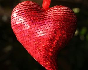 A sequin-covered heart for Valentine's Day is shown at Katrina Parris Flowers in New York Friday, Feb. 6, 2009. (AP Photo/Mark Lennihan)