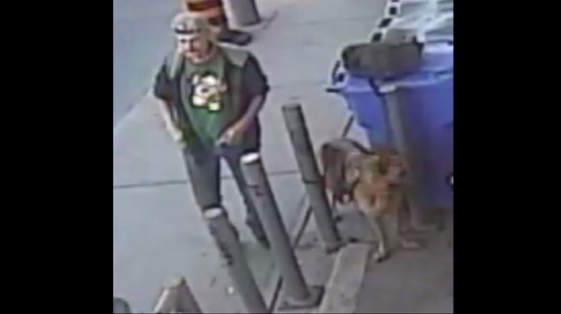 Dog theft suspect 