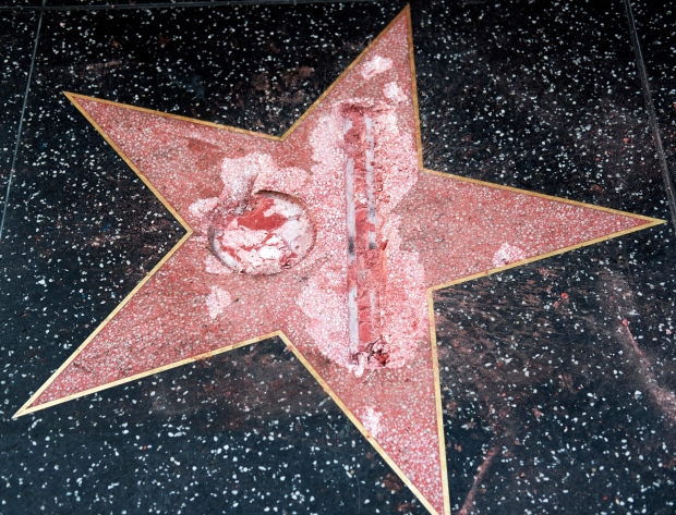 Donald Trump, Hollywood, star