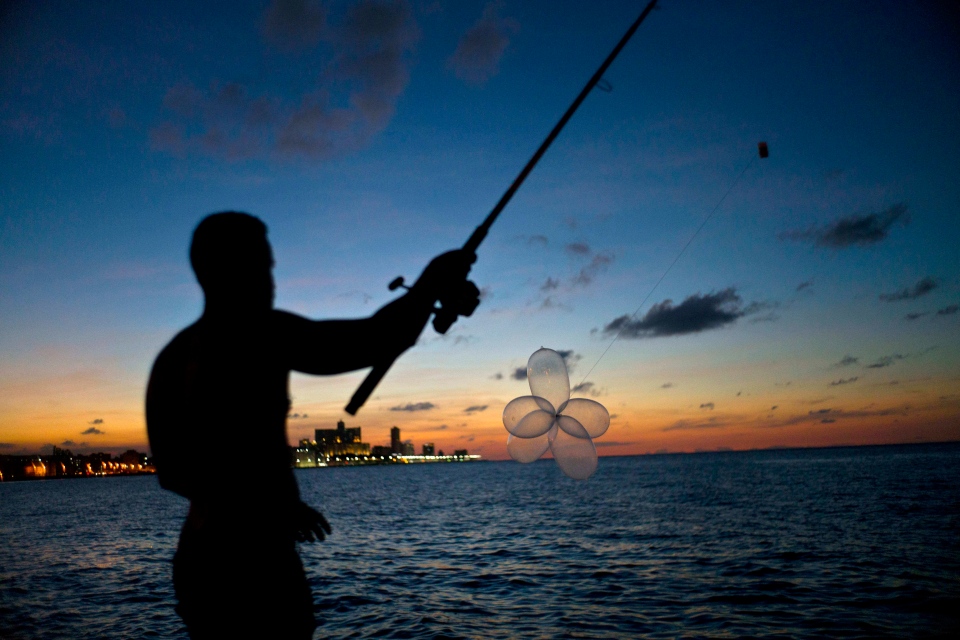 Inventive Cubans hunt expensive fish using inflated condoms