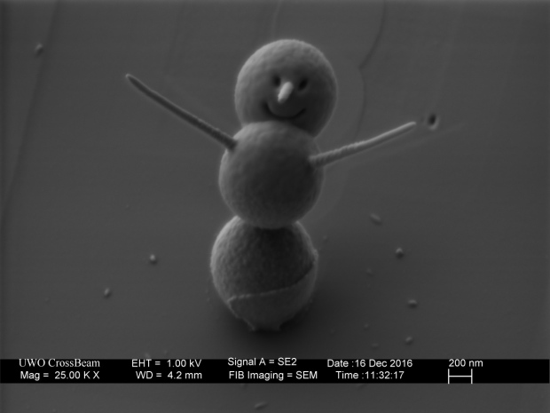 microscopic snowman