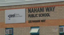 Nahani school
