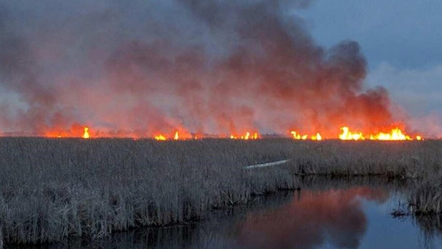 Point Pelee Fire