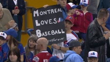 Montreal baseball fans 
