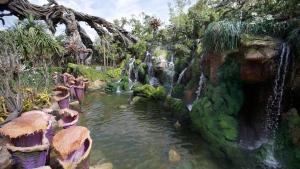 Disney World Pandora