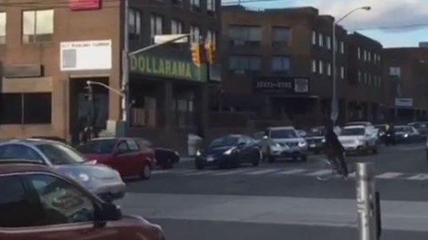 High winds slam traffic light onto car in Roncesvalles - CP24 Toronto's Breaking News