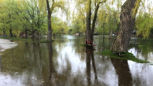 flooding, centreville, toronto island