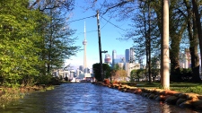 Toronto Island flooding, Tory tours flood zones