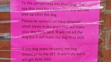 Leslieville Poisoned dog treats