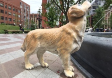 Berczy Park dog statue