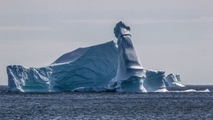 Manly iceberg 
