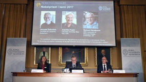 Nobel Committee in Chemistry