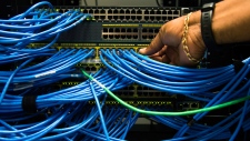 Networking cables in a server bay