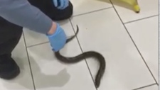 Bathroom eel at mall