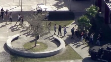 florida school shooting 