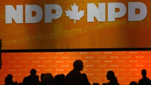 NDP convention