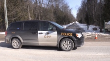 Human remains found in Oro-Medonte