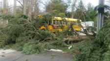 Tree bus
