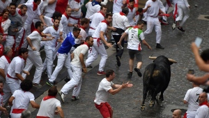 Spain, Pamplona, bulls
