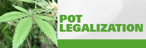 CP24 Pot Legalization promo button