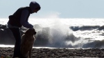 A woman leashes her dog facing the windyremenants of hurricane Patricia as waves pound the beach in Toronto on Thursday, October 29, 2015. THE CANADIAN PRESS/Frank Gunn