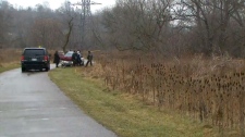Body removed from wooded area near Don River