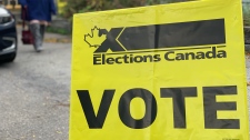 Elections Canada, vote