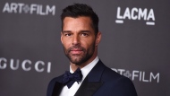 This Nov. 2, 2019 file photo shows Ricky Martin at the 2019 LACMA Art and Film Gala in Los Angeles.  (Photo by Jordan Strauss/Invision/AP, File)