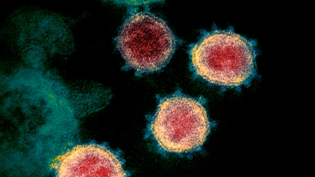 The new coronavirus strain: what we know so far and what it means for the vaccine