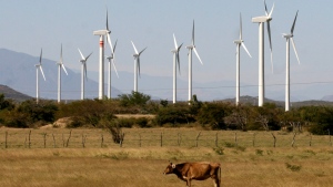 Mexico wind power
