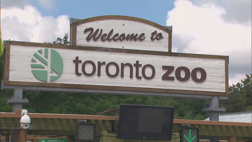 A Much Different Toronto Zoo Reopens To The Public Today After Months Long Closure Cp24 Com