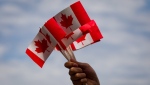A volunteer waves Canadian flags while handing them out to people during Canada Day festivities on Monday, July 1, 2013.  THE CANADIAN PRESS/Darryl Dyck