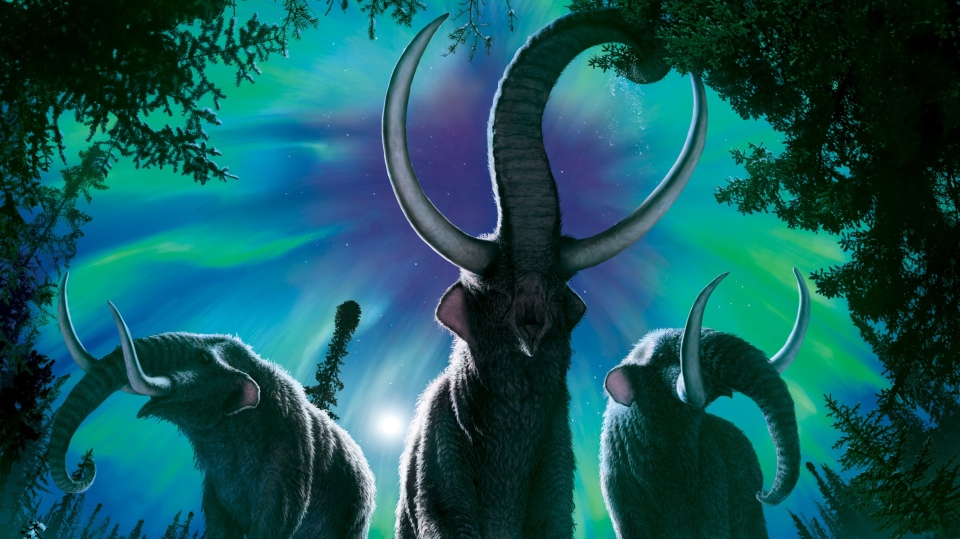 Mastodon migrations north offer clues about today's animal movements: study  