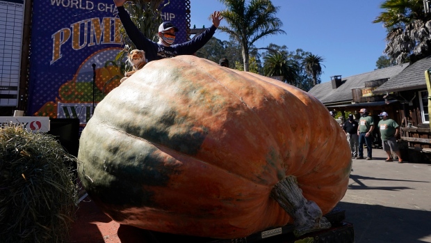 giant Pumpkin