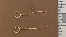earrings,