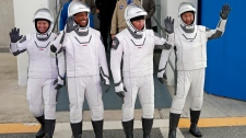 SpaceX astronauts