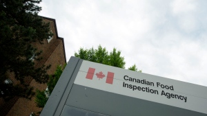 Canadian Food Inspection Agency in Ottawa on Wednesday, June 26, 2019. (THE CANADIAN PRESS/Sean Kilpatrick)