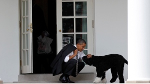 Obama's dog