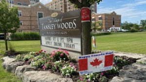 Tansley Woods l